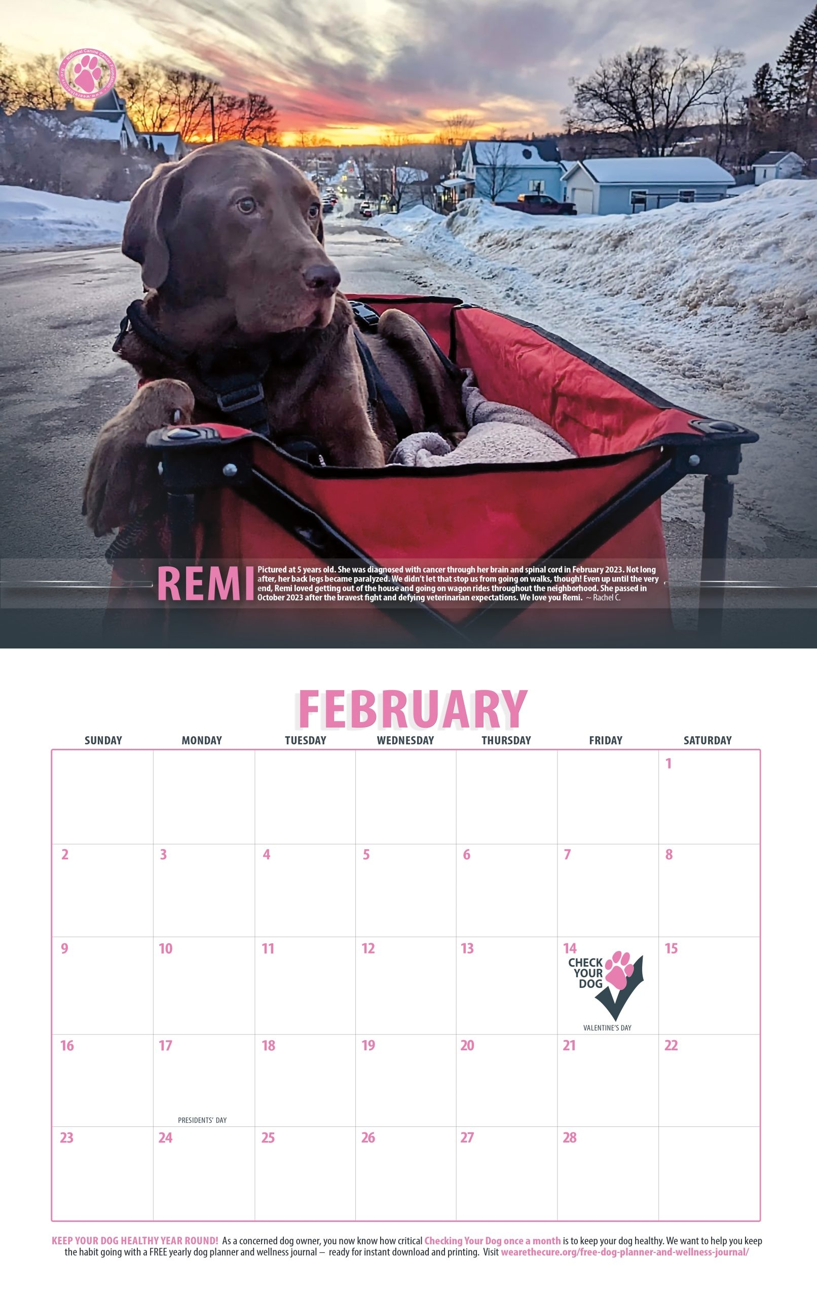 Printable Calendar Year Dog 2025