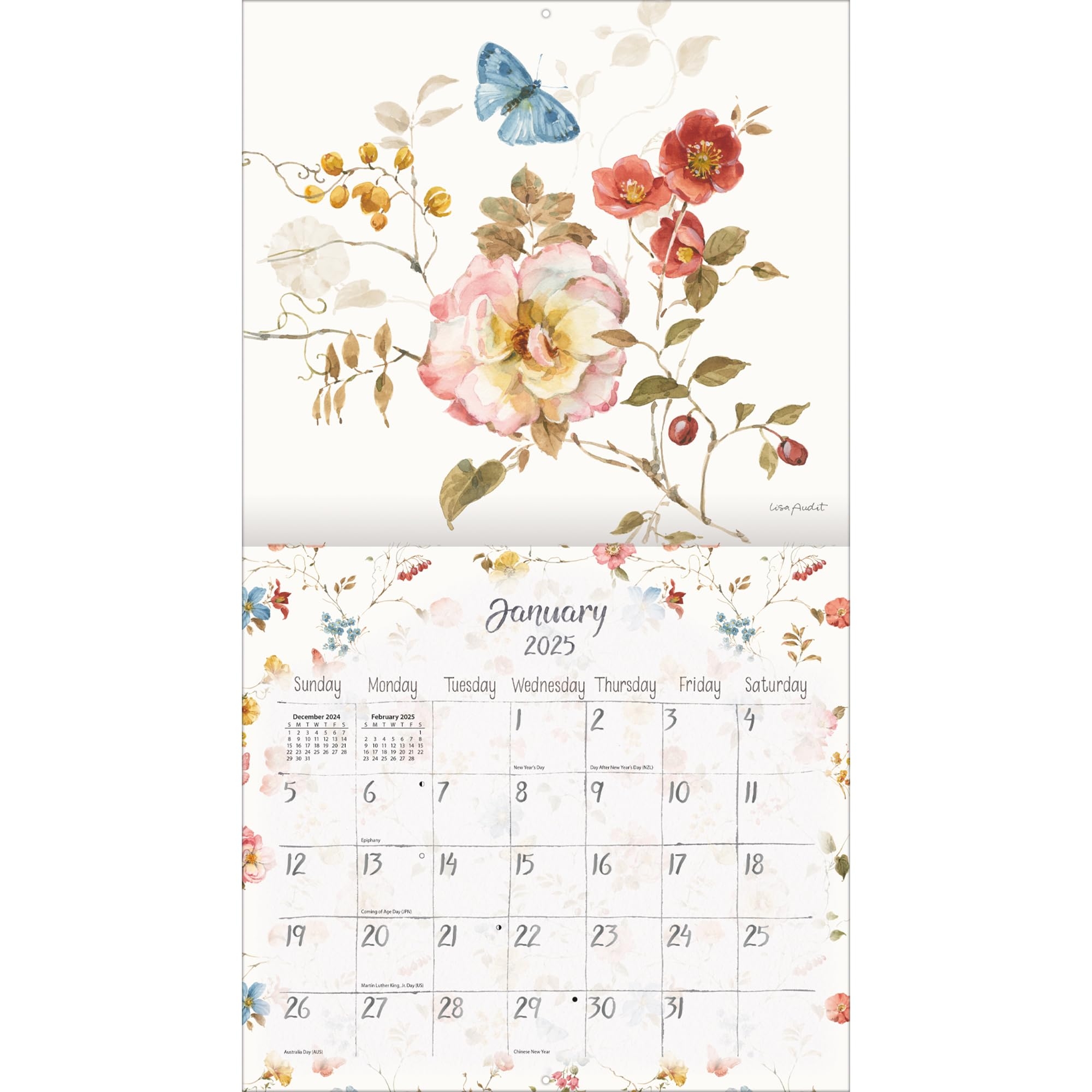 Amazon LANG Watercolor Seasons 2025 Wall Calendar 25991002011 Office Products