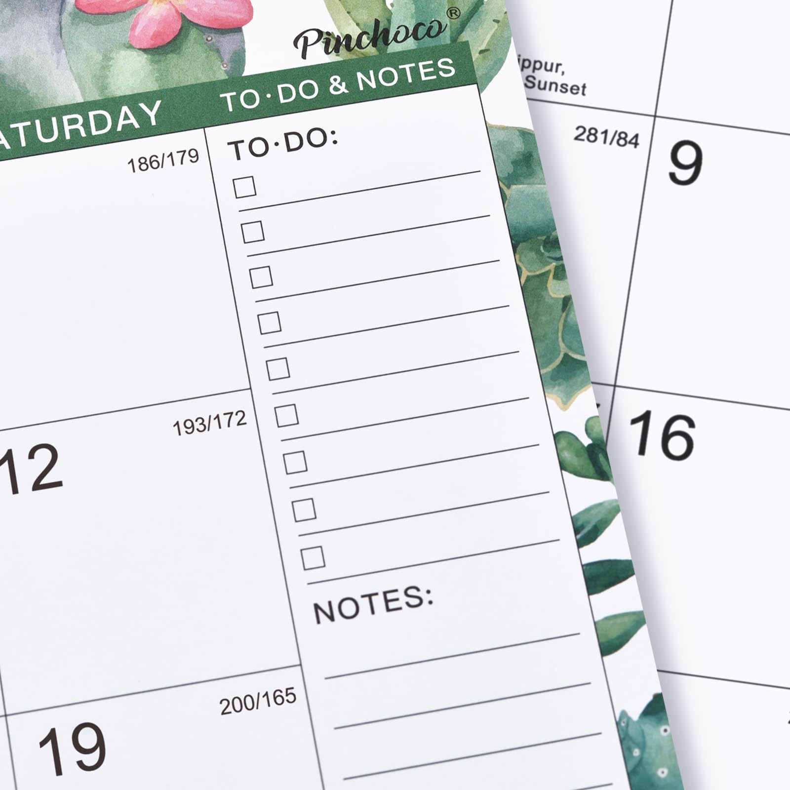 Amazon Wall Calendar 2025 2026 2025 2026 Calendar Jul 2025 Dec 2026 14 8 X 11 5 18 Monthly Wall Calendar 2025 2026 With Thick Paper Hanging Hook Perfect For Office Home Succulent Cactus Office Products