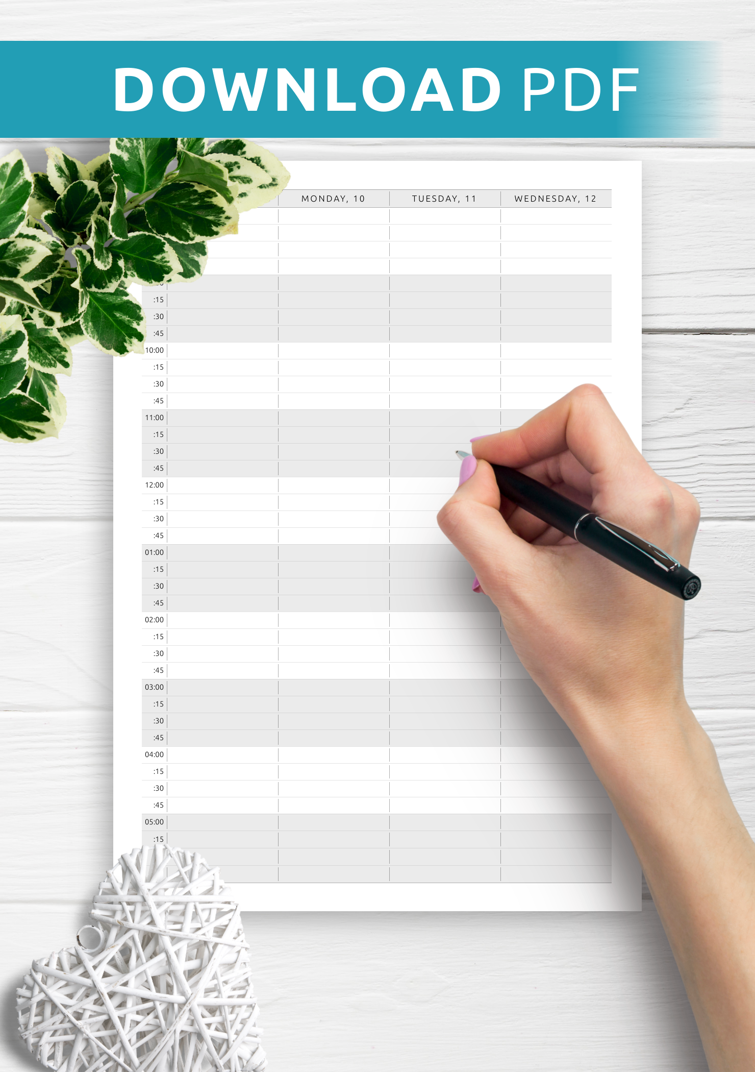 Free Printable Appointment Calendar