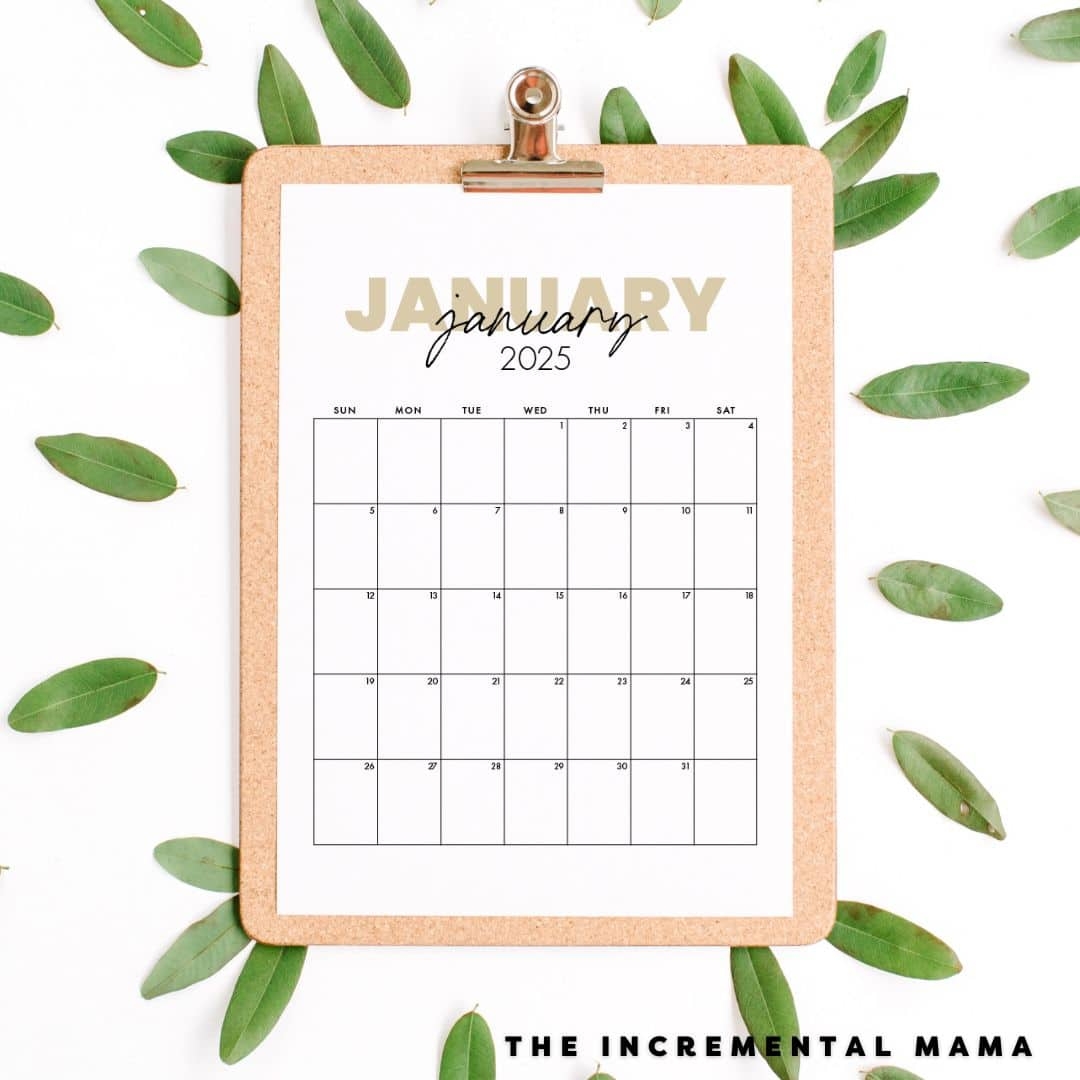 2025 Full Year Calendar Printable Free