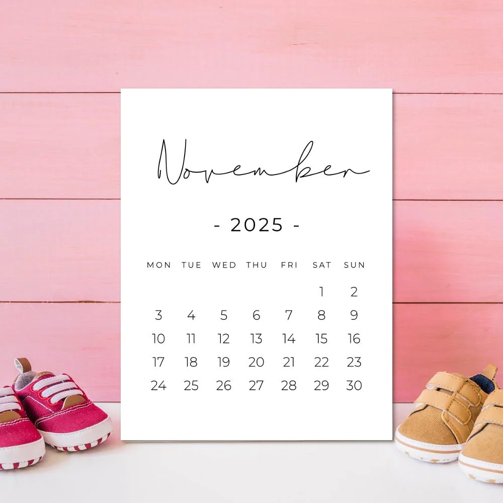 November 2025 Printable Calendar Pregnancy Calendar Digital Download Baby Announcement November Calendar Etsy