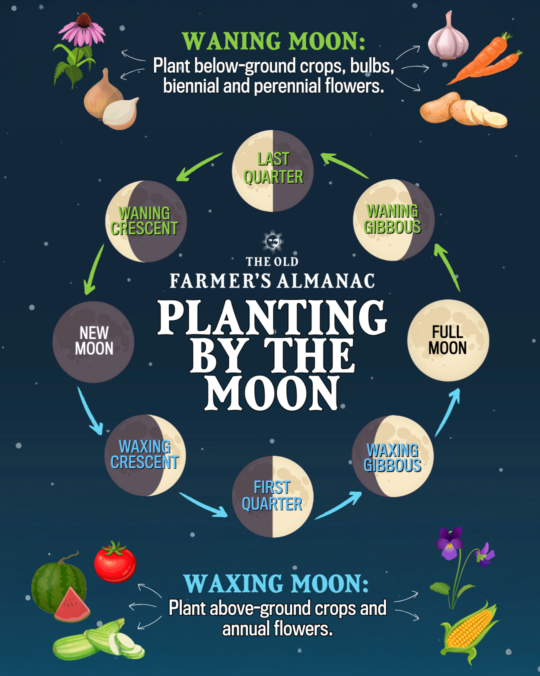 Planting By The Moon Phase How It Works The Old Farmer s Almanac