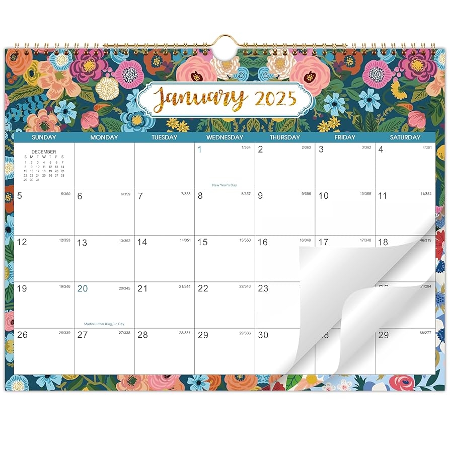 Amazon 2025 Calendar 2025 Wall Calendar From Jan 2025 Dec 2025 Wall Calendar 2025 14 8 X 11 4 Calendar 2025 Wall With Julian Date Thick Paper Large Block Office Products