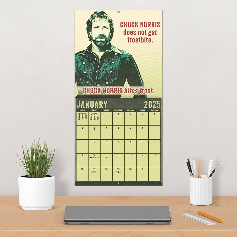 Amazon 2025 Chuck Norris Wall Calendar 9781438899022 Trends International Books