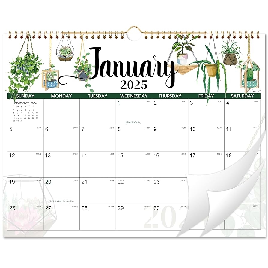 12 Month Calendar 2025 Printable With Holidays