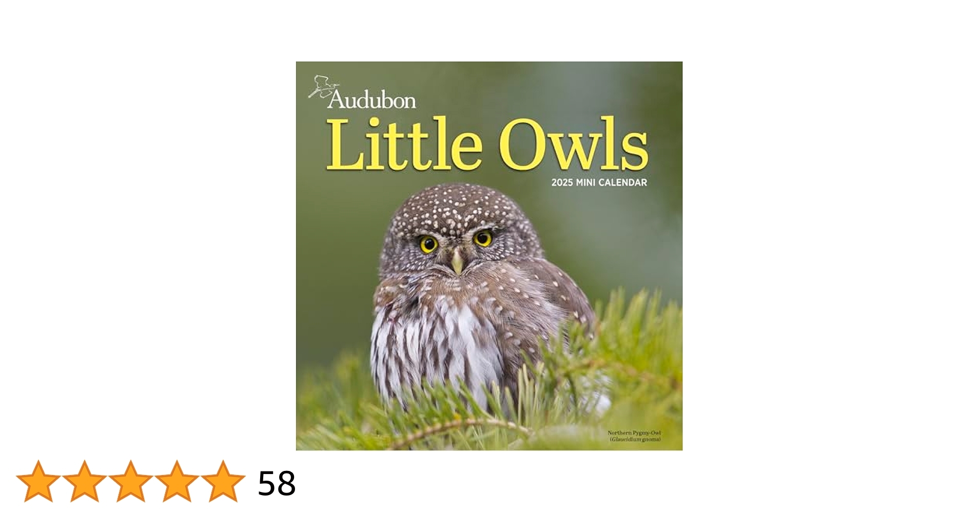 Amazon Audubon Little Owls Mini Wall Calendar 2025 A Year Of Fluffy And Round Owls 9781523526130 National Audubon Society Workman Calendars Books