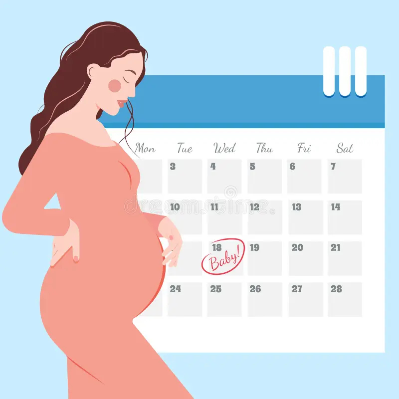Calendar Pregnancy Stock Illustrations 2 135 Calendar Pregnancy Stock Illustrations Vectors Clipart Dreamstime