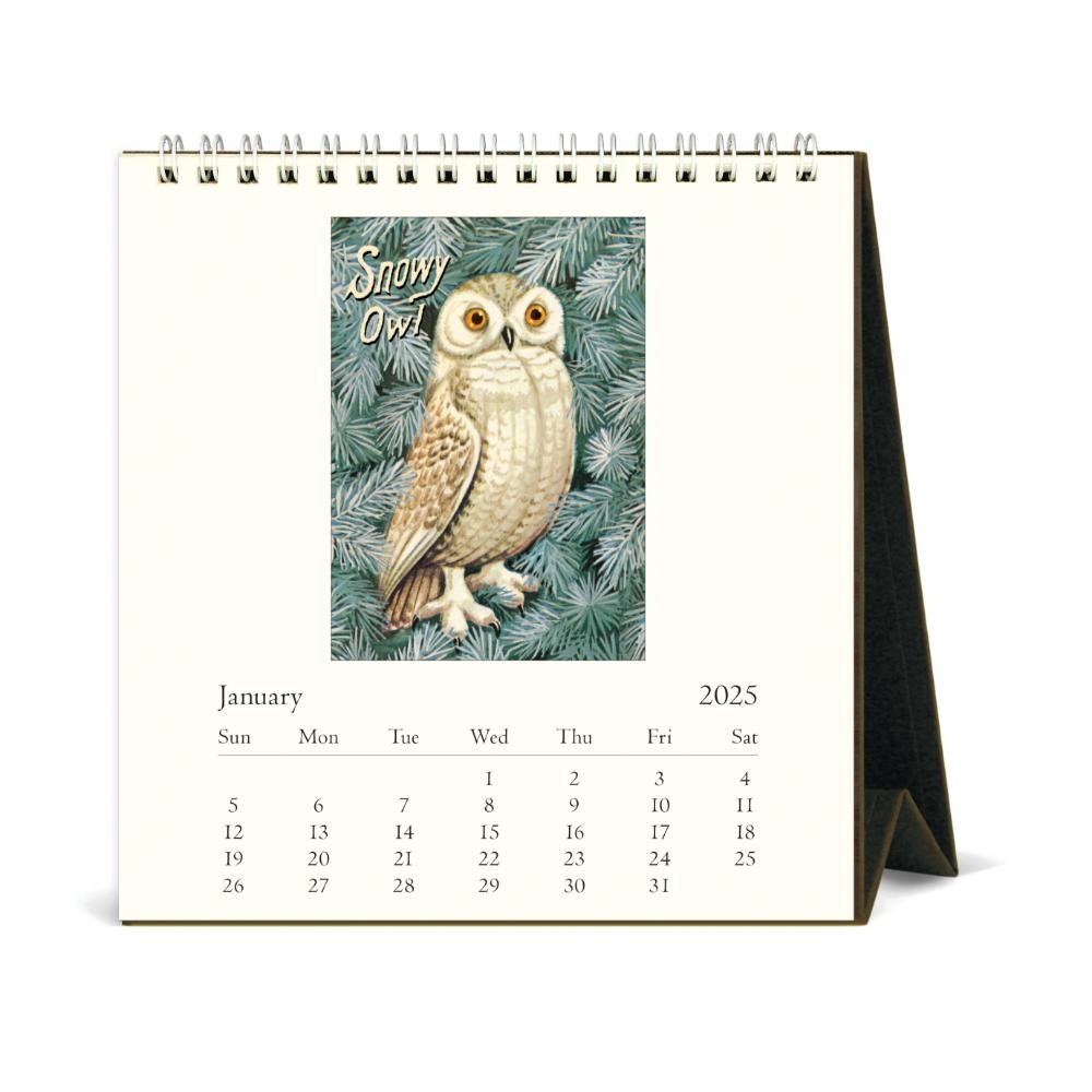 Owl Calendar 2025 Printable