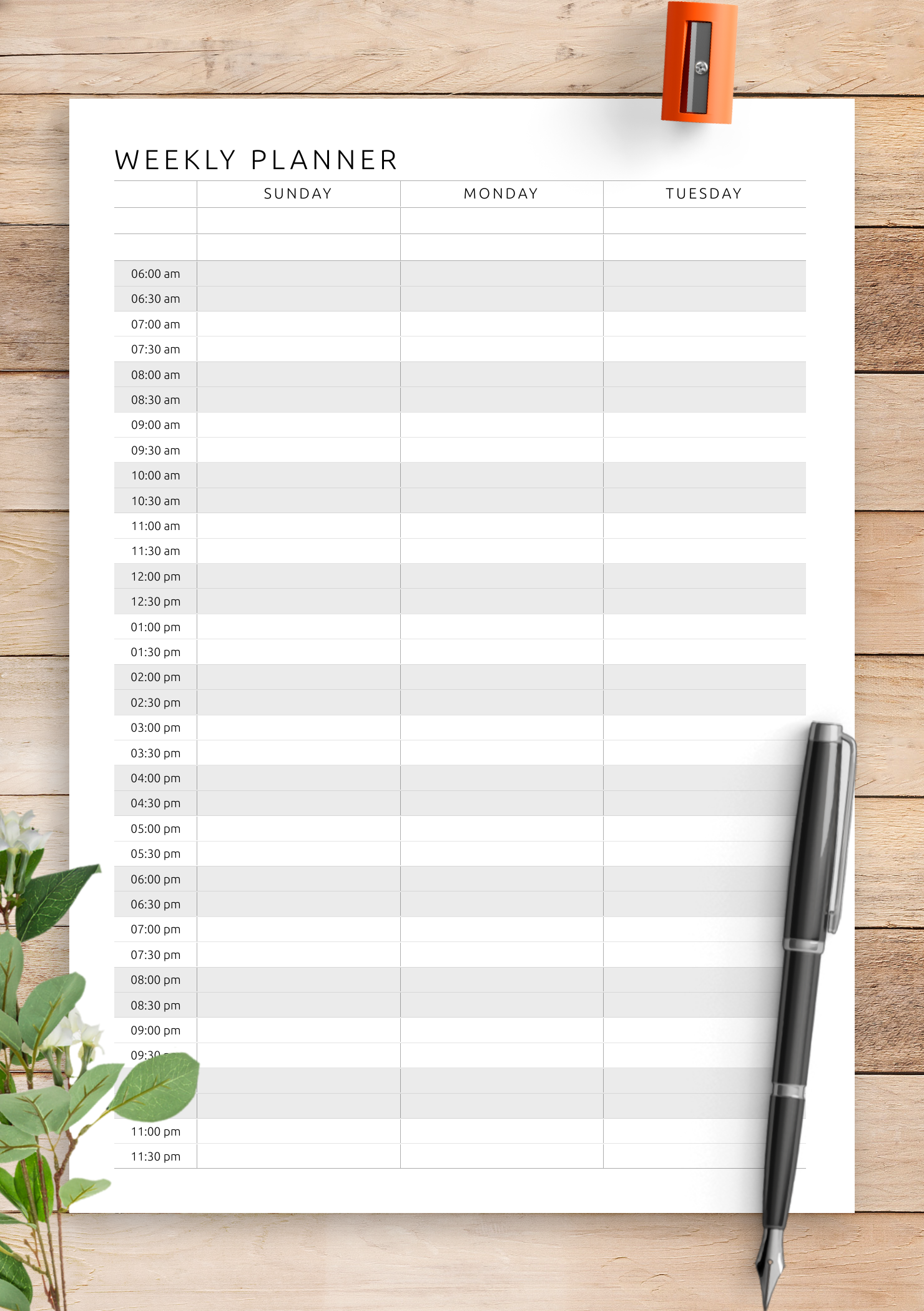 Weekly Printable Hourly Calendar