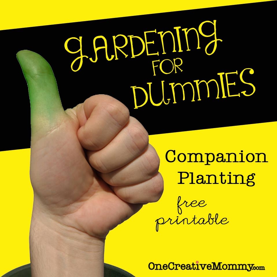 Printable Planting Calendar Michigan