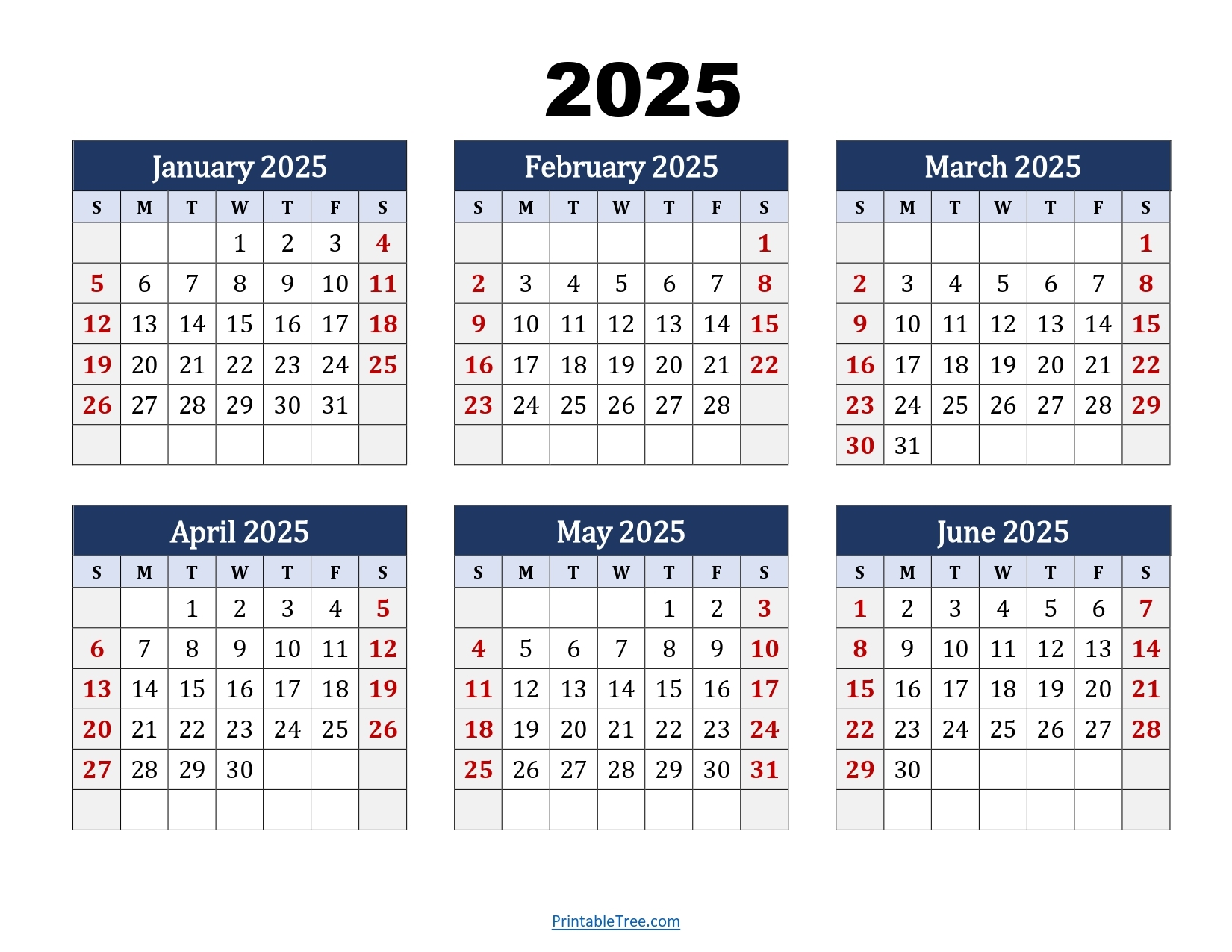 Printable 2025 12 Month Calendar