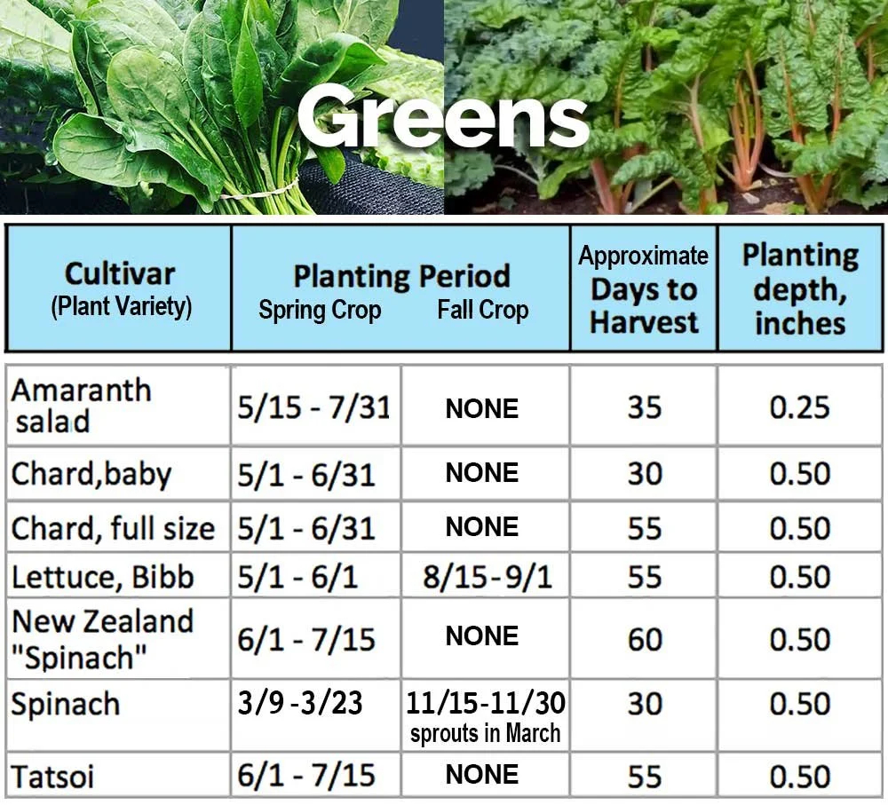 Zone 5b Printable Seed Starting Calendar