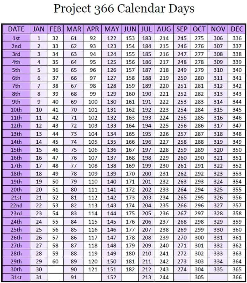 Project 365 Project 366 Calendar Days Free Printable