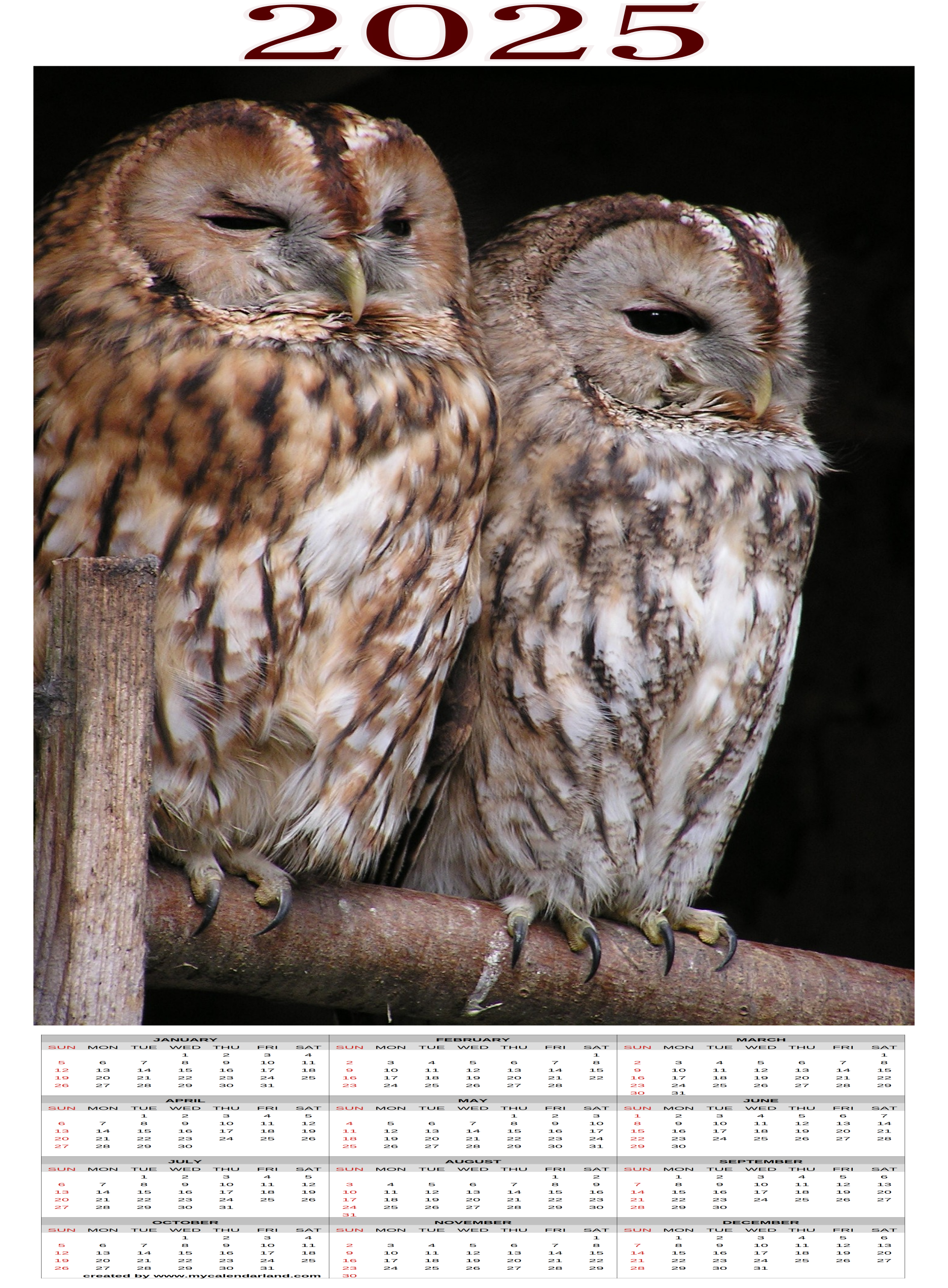 Yearly Printable Calendars For Free My Calendar Land